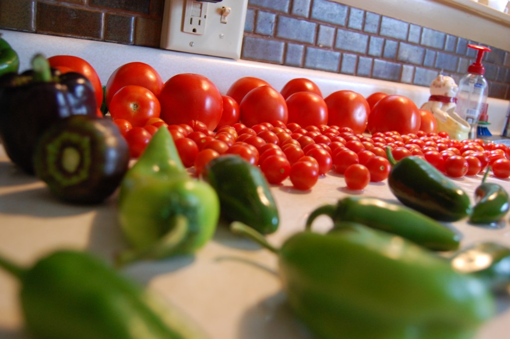 Another Visit To Mike’s&nbsp;Garden