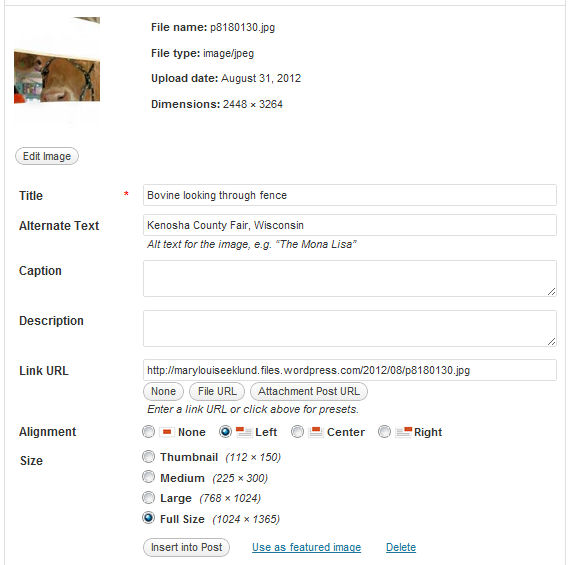 screen cap image menu Shows WordPress Image menu with all the fields