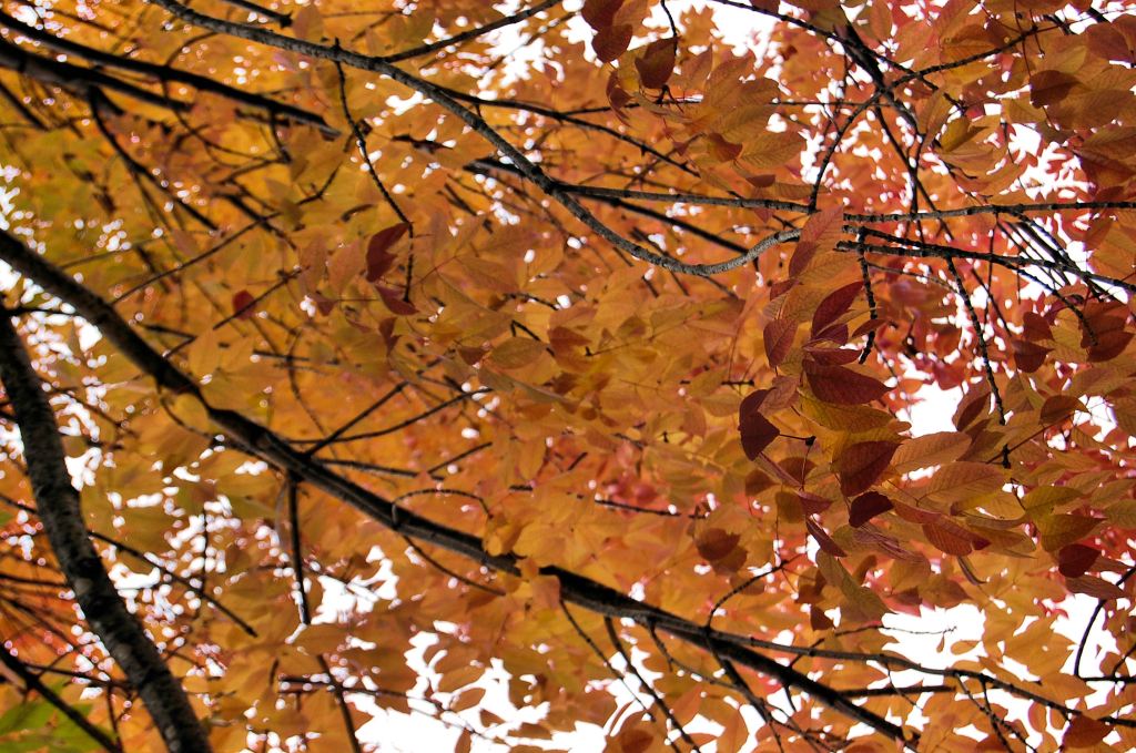 Fall Is In&nbsp;Wisconsin