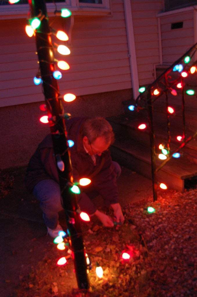 We are simple folk who go for a few simple strands of color. T he big bulbs like I remember being on trees of my childhood.