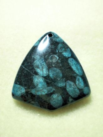 Blue sea jasper with fossils pendant