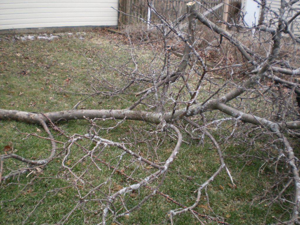 Yes I safely guided this one down without damaging the neighbor's garage roof.