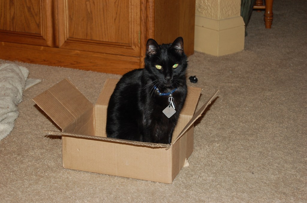 A Tale of The&nbsp;Box