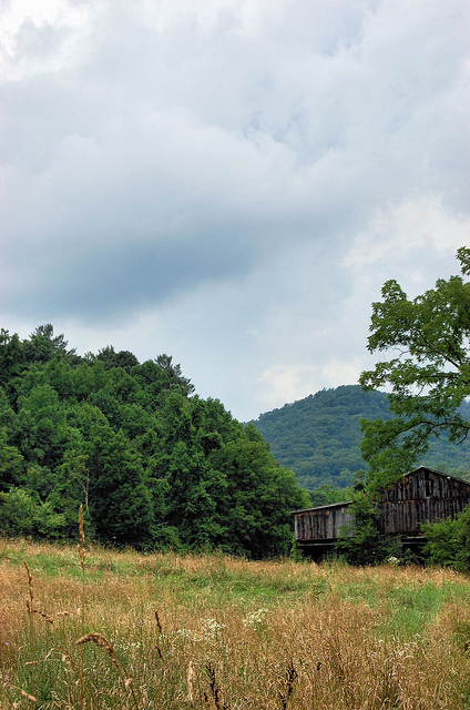 Cherokee National Forest –&nbsp;Farm