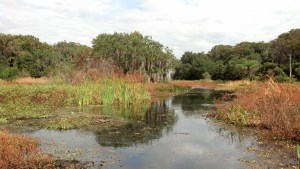 Wonderful airboat tour to ourselves!