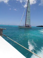 Yep and more on the cruise adventures.