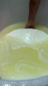 The curd cake as it developed 