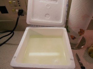 This is how you take home buffalo mozzarella.  It comes in a cooler still in the brine, leave it soaking until you want some.