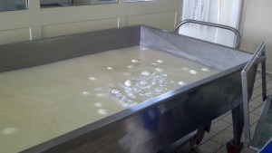 The mozzarella in the brine soak.