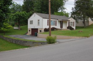 You see the green strip there from the telephone pole down by the driveway - that's where the Irises were.