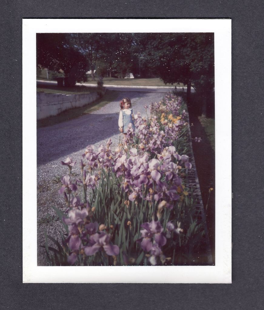 That's me when I was little next to Mom's Irises when we lived in Greeneville.  Photo is from about 1970.