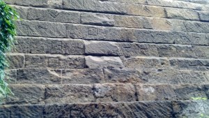 This was the first wall of the city built by the Etruscans. Then later Romans added to it, then KIng of Naples and eventually there's a freeway on top. But this is the oldest part and if you look at the various designs in the blocks those are marks for the teams that mined the rock and chiseled the stone. They were paid per piece.