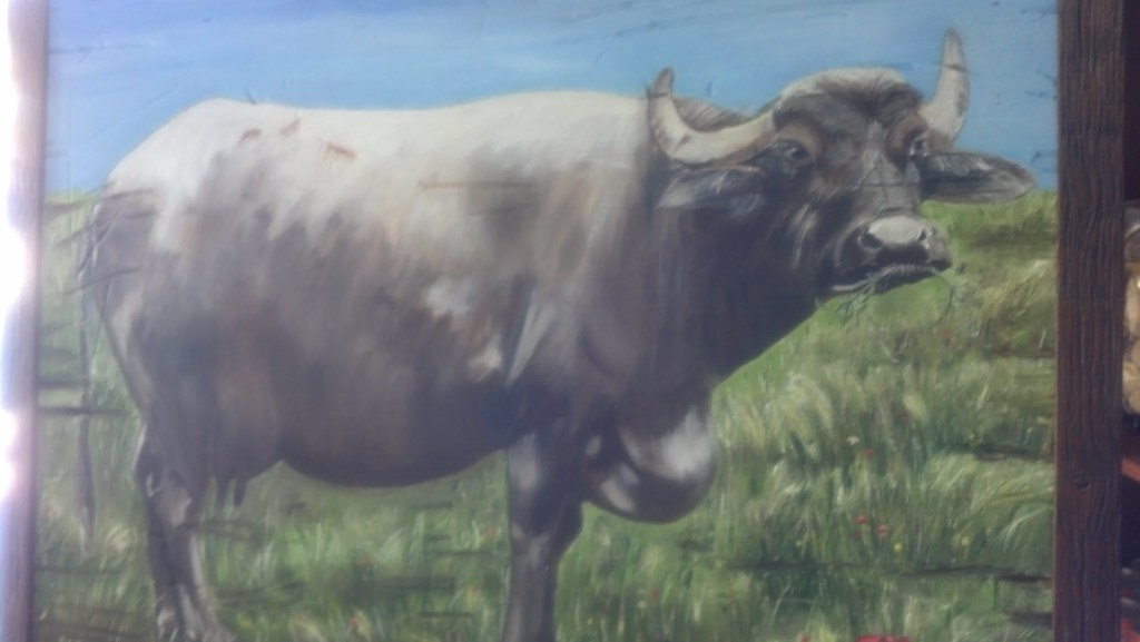 A portrait of the Water Buffalo that hung in the small family store.  Tribute to their source of income.