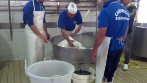 Mater Pepe and his apprentices working to smooth the curd.
