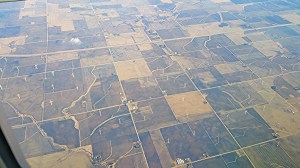 Wind farm on way to Chicago