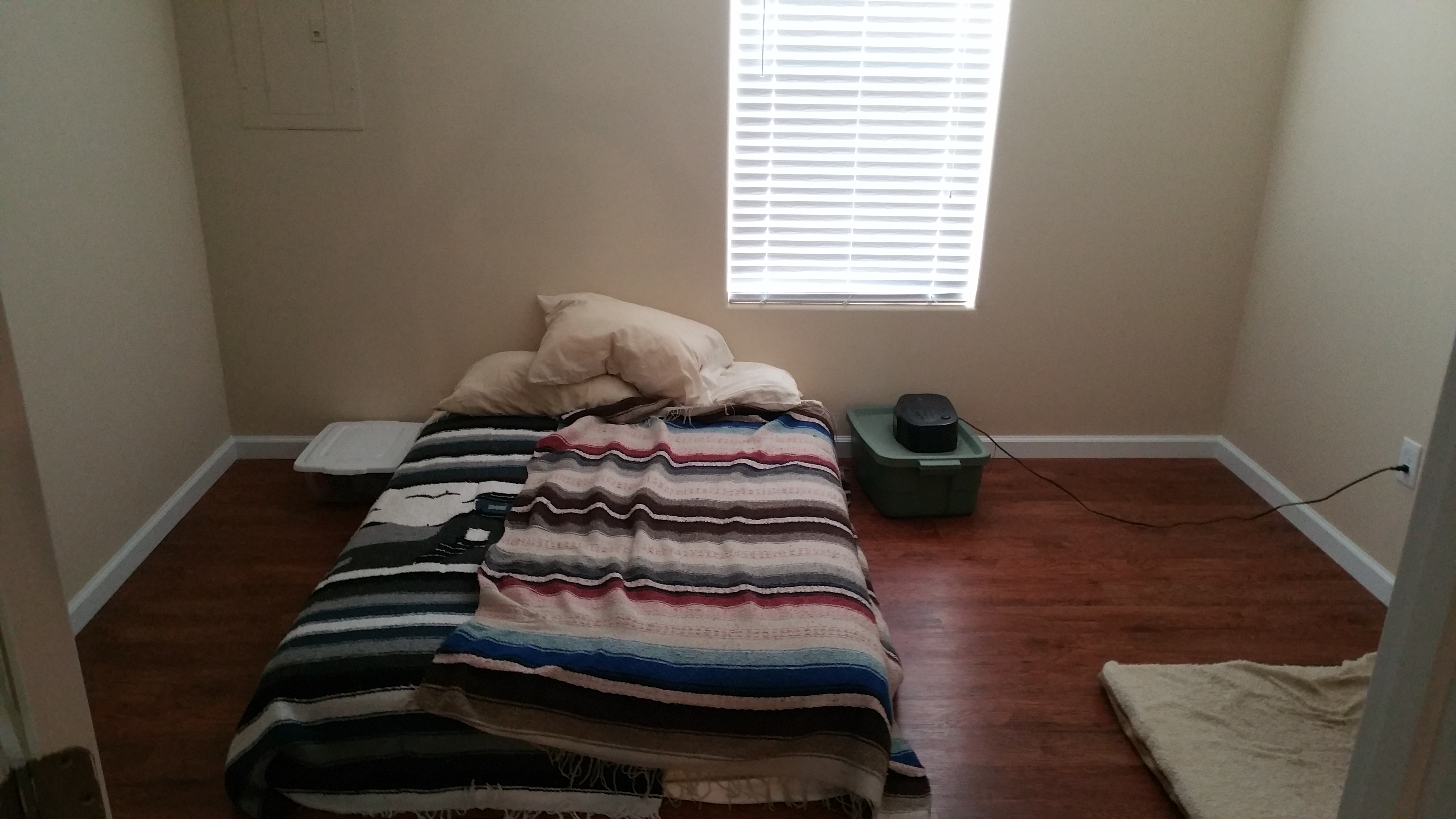 Home sweet temp home