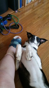 Culprit and foot