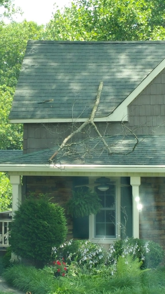 Limb damage