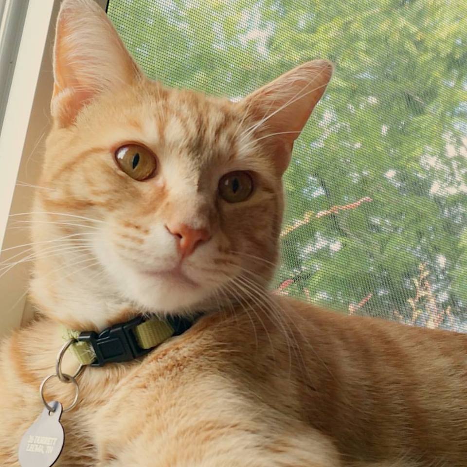 Jack