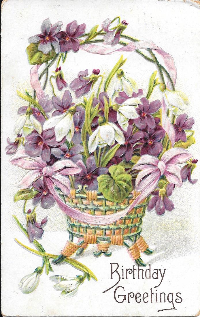 Violet postcard front