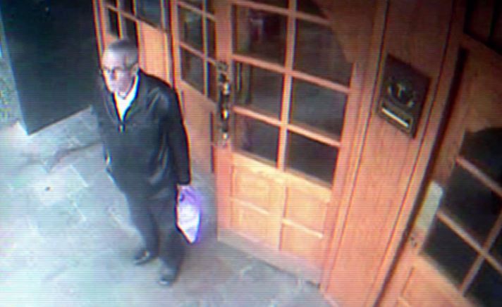 peter-bergmann-purple-bag