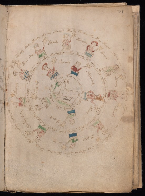 Voynich Manuscript.jpg