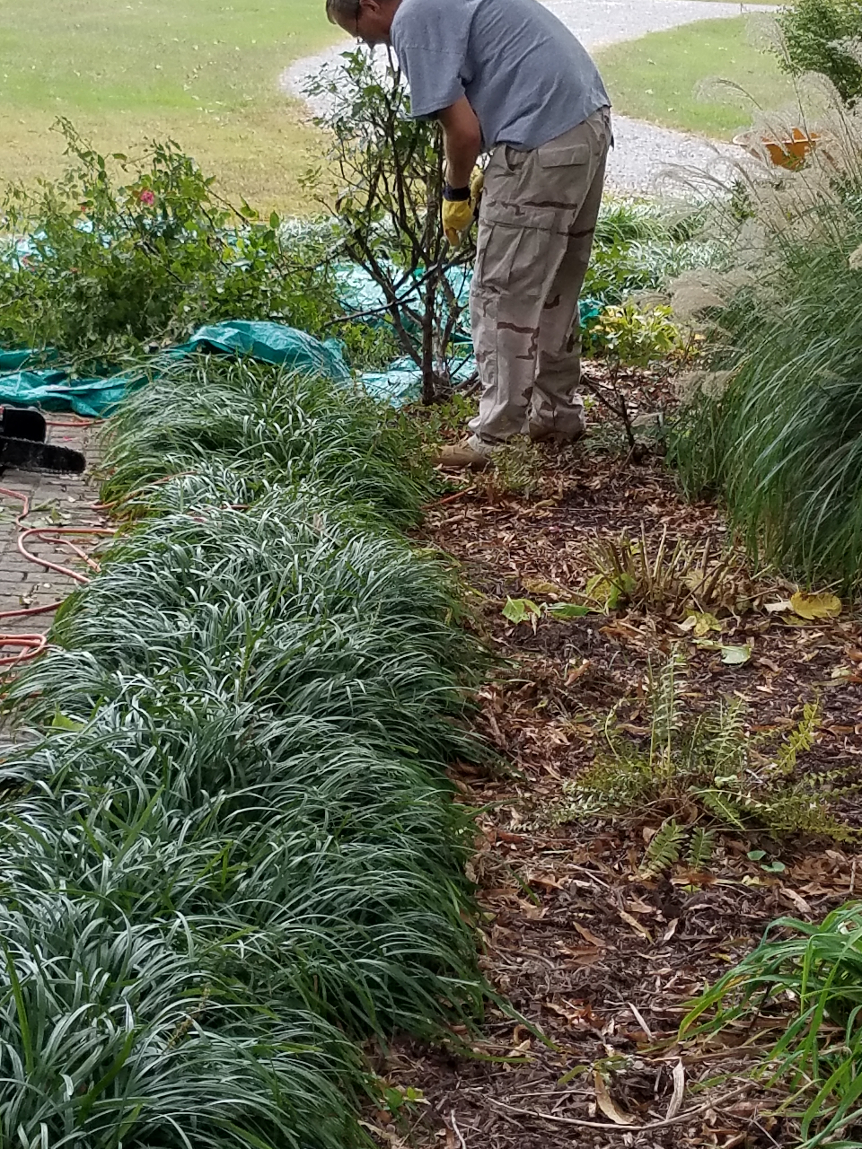 2016-fall-yard-2