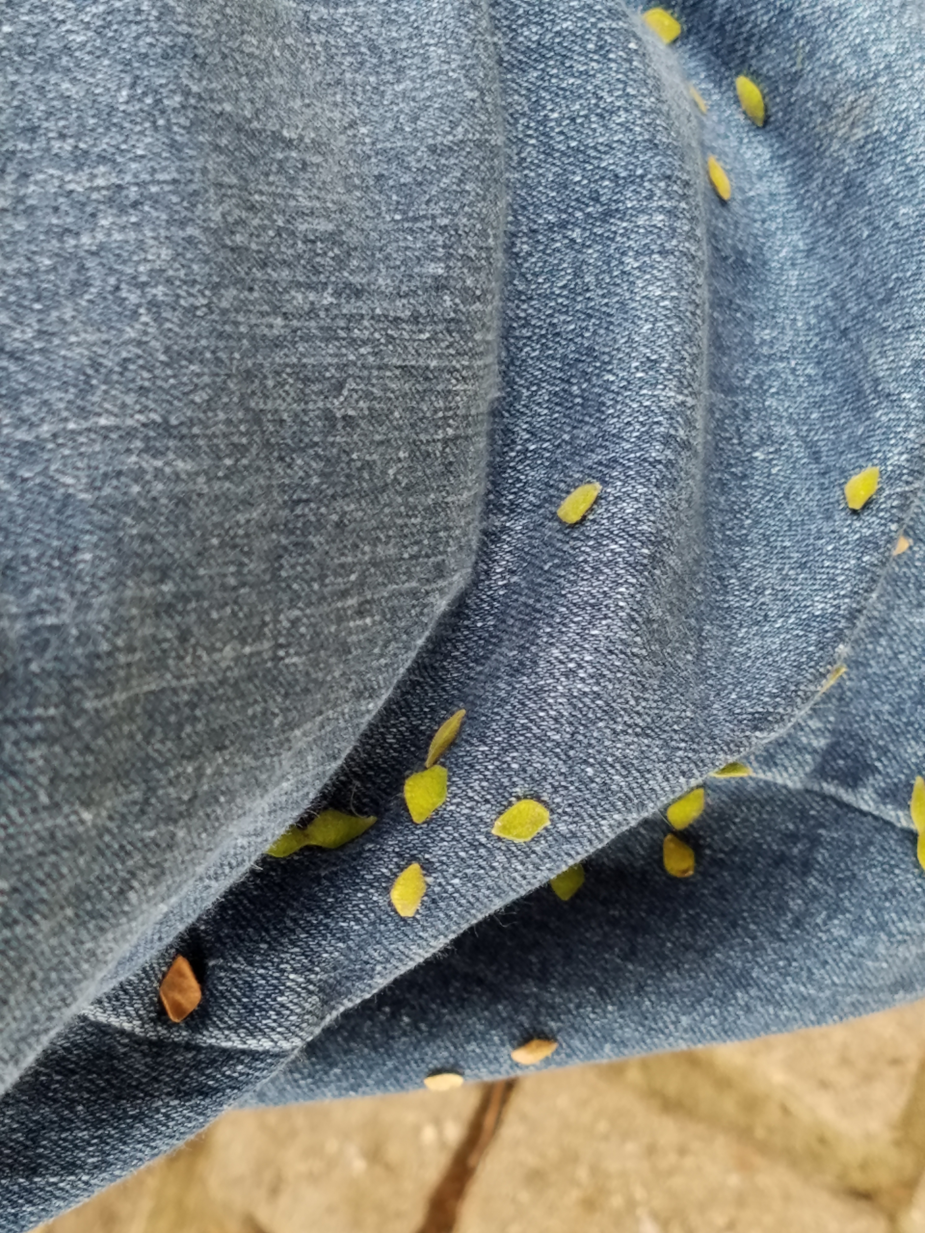2016-fall-yard-3