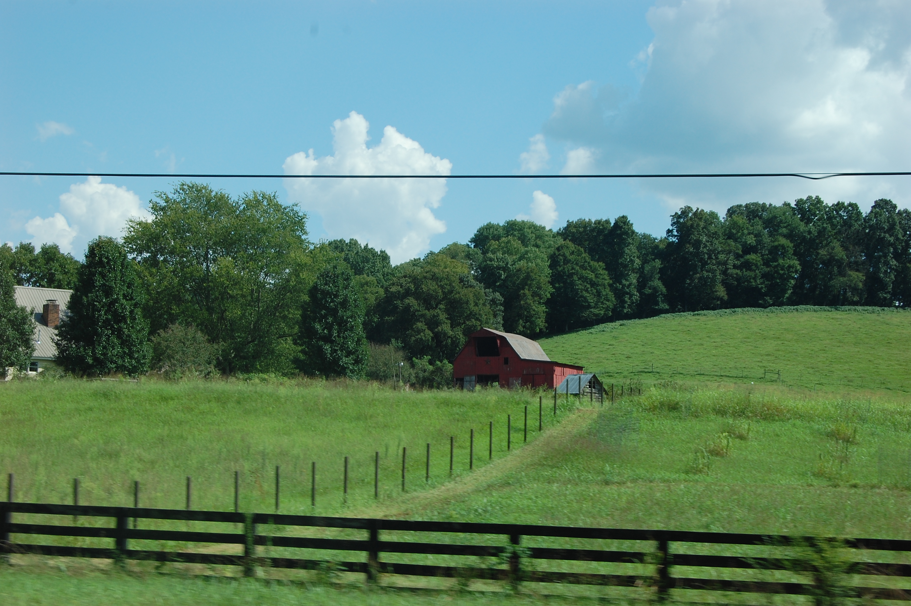 dsc_8539