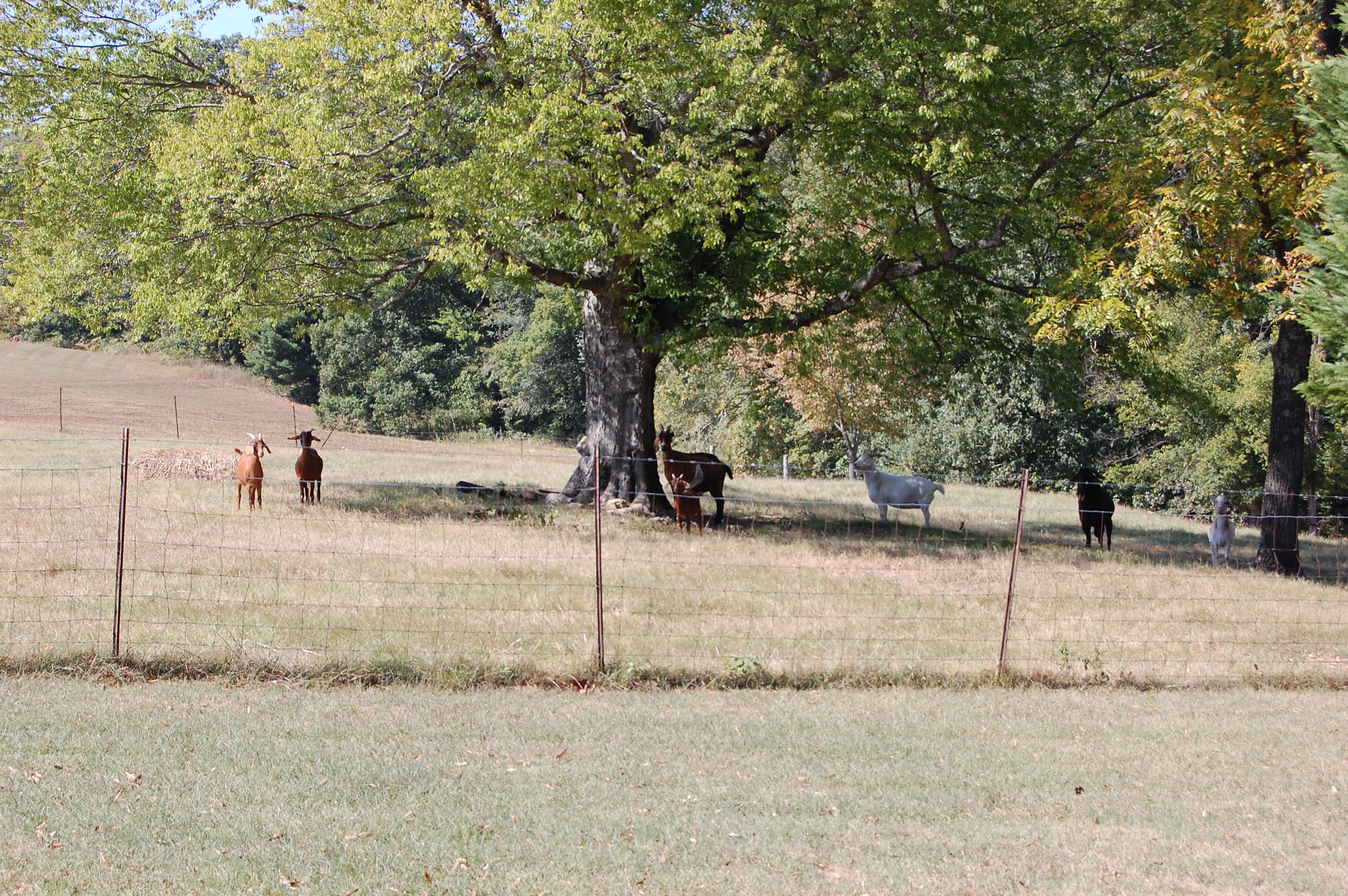 dsc_8569