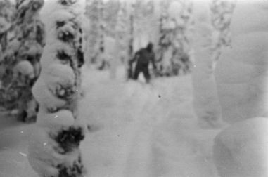 dalytov-yeti