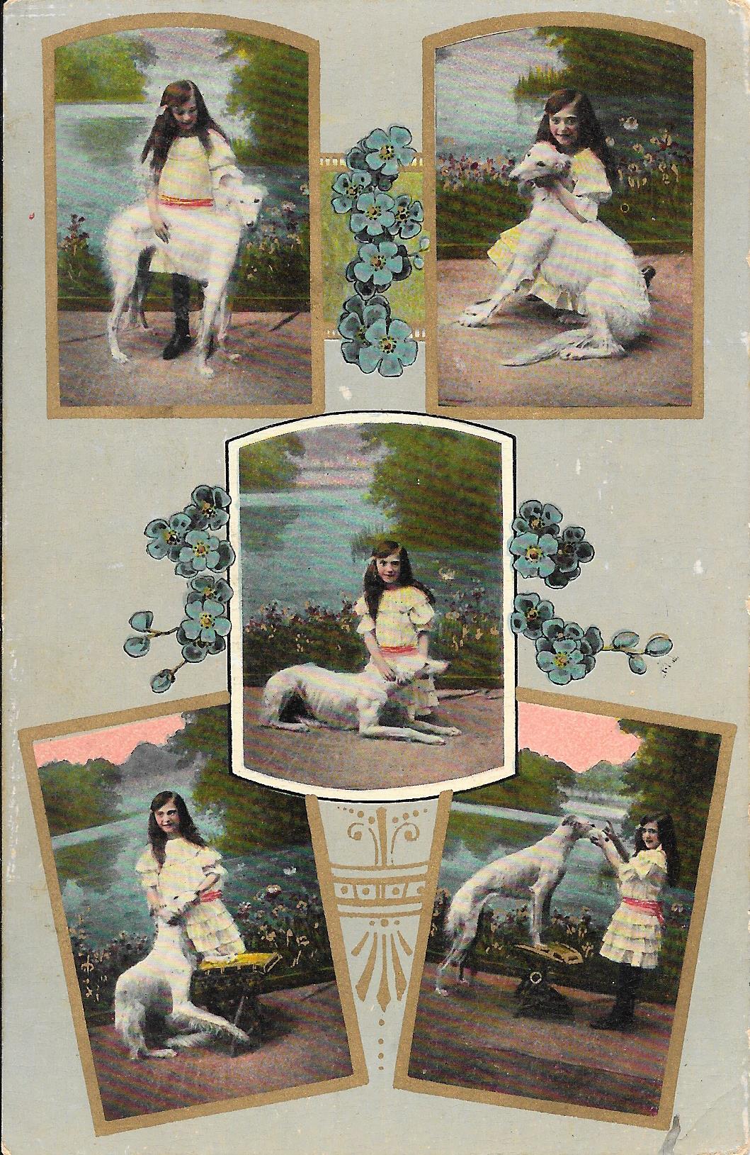 greyhound-pc-front